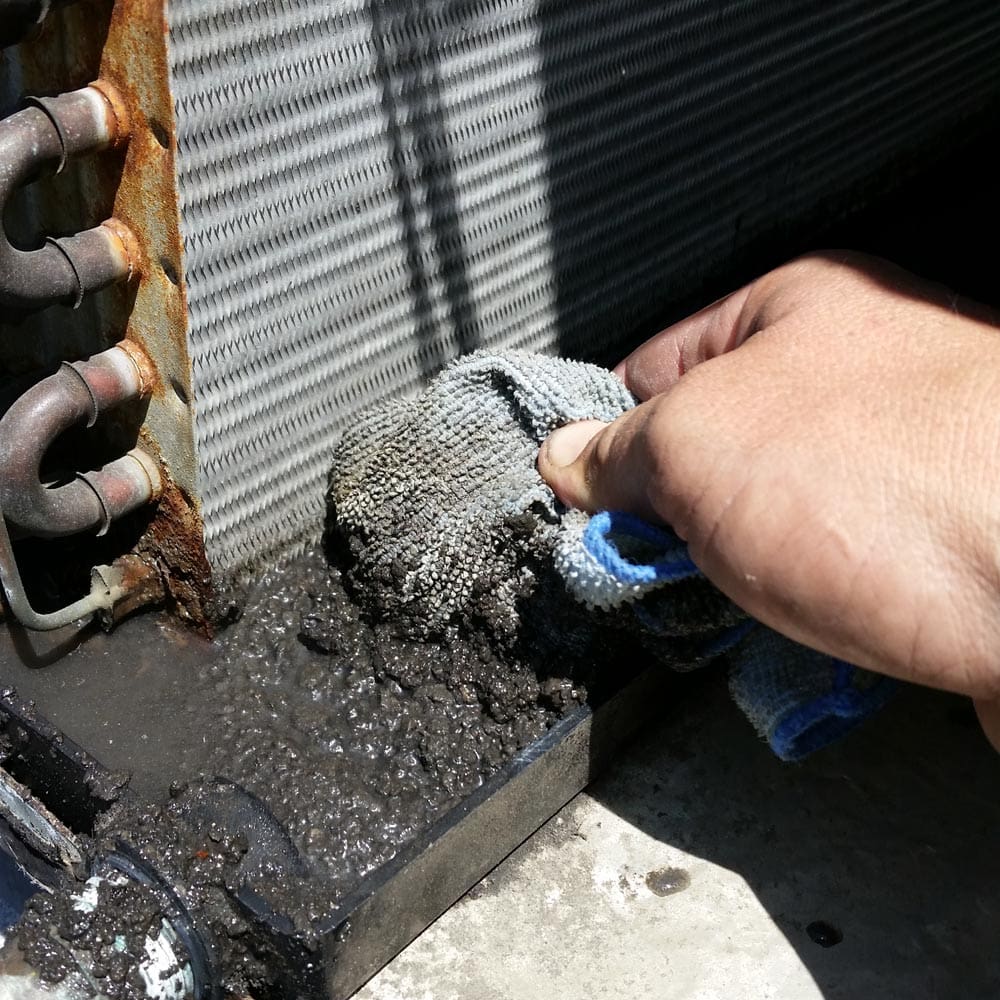 Commercial HVAC Units Drain Pan Cleaning