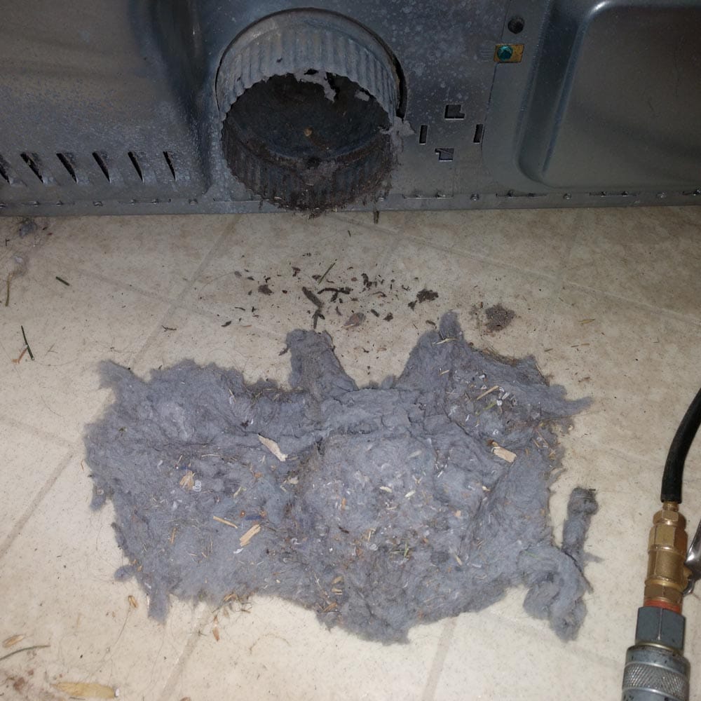 Dryer Vent Cleaning Lint in Dryer Exhaust