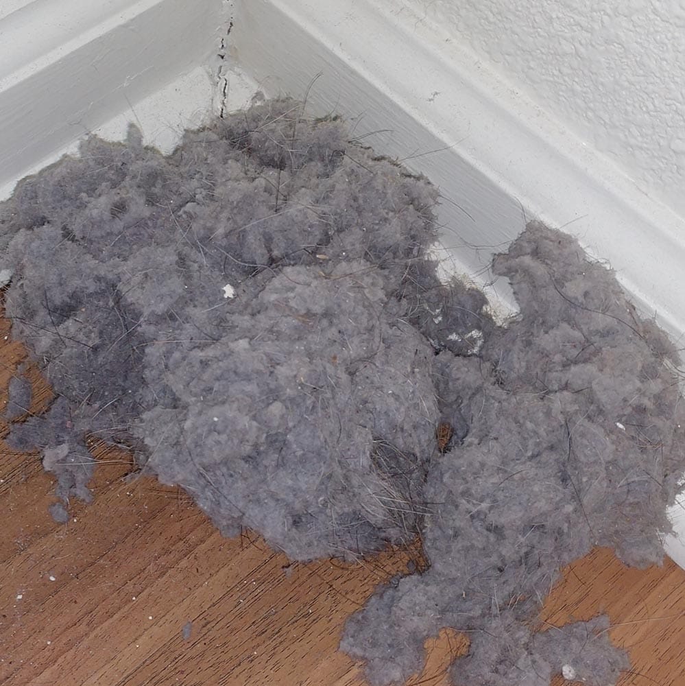 Dryer Vent Cleaning Pet Hair in Lint