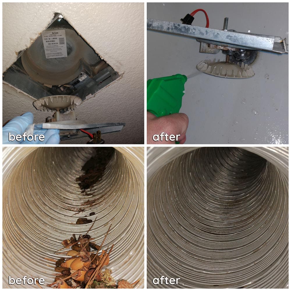 Residential Rodents Feces Exhaust Fan Cleaning