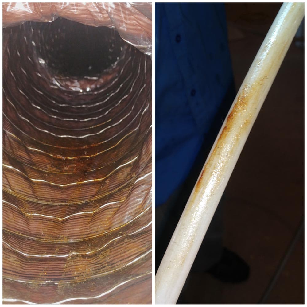Residential Rodents Urine in Ductwork