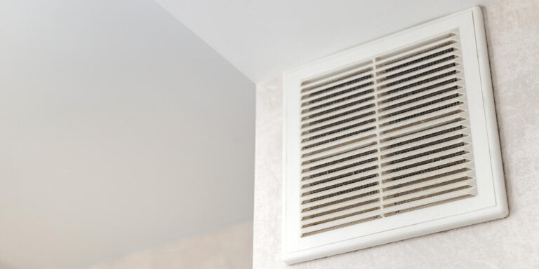 mold in apartment air ducts